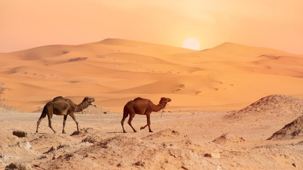 Hotel Oasis Luxury Camp Merzouga Zewnętrze zdjęcie